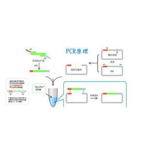 鼻疽伯克霍爾德氏菌PCR試劑盒