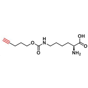 N-戊炔氧羰基]-賴氨酸，N-Pentyn1yloxycarbonyl]-L-lysine