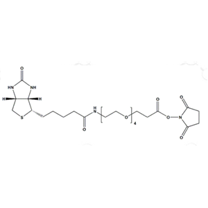 Biotin-PEG4-NHS Ester, 生物素四聚乙二醇N-羥基琥珀酰亞胺酯