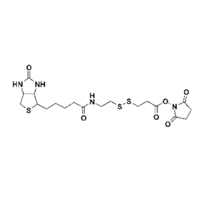 Biotin-SS-NHS，生物素-二硫鍵-活性酯