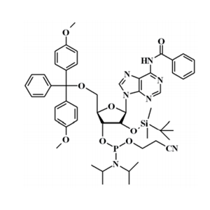 N-苯甲?；?5'-O-(4,4-二甲氧基三苯甲基)-2'-O-[(叔丁基)二甲基硅基]腺苷-3'-(2-氰基乙基-N,N-二異丙基)亞磷酰胺