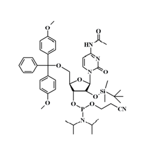 N-乙?；?5'-O-(4,4-二甲氧基三苯甲基)-2'-O-[(叔丁基)二甲基硅基]胞苷-3'-(2-氰基乙基-N,N-二異丙基)亞磷酰胺