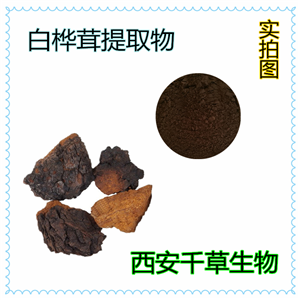 白樺茸提取物