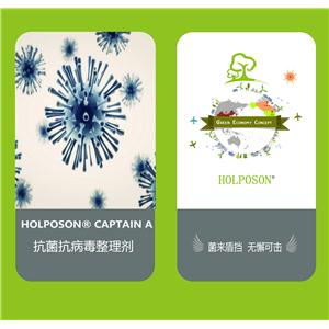 HOLPOSON  CAPTAIN A