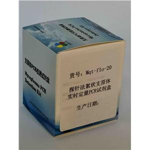 探針法絮狀支原體實時定量PCR試劑盒