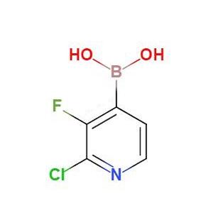 2-氯-3-氟吡啶-4-硼酸