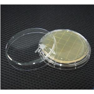 Nutrition Agar