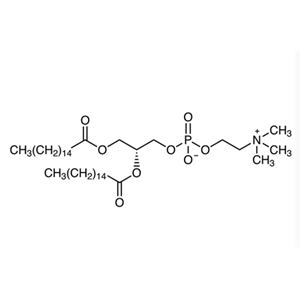 二棕櫚酰磷脂酰膽堿