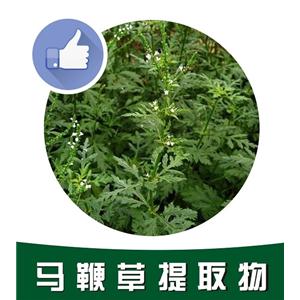 馬鞭草提取物