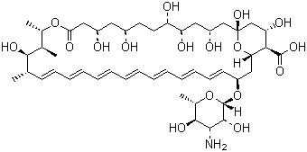 CAS 登錄號：1397-89-3, 兩性霉素 B