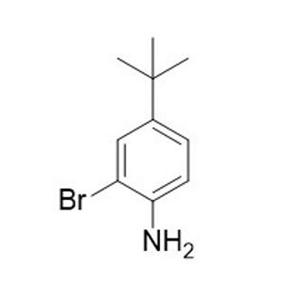 2-碘-4-叔丁基苯胺