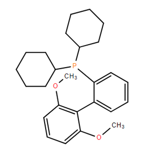 2-雙環(huán)己基膦-2',6'-二甲氧基聯(lián)苯