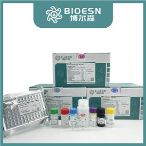 人干擾素γ(IFNγ) ELISA Kit