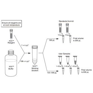 NGS dsDNA HS Assay Kit