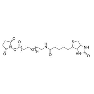 (+)-BIOTIN-PEG24-NHS ESTER