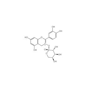 氯化矢車菊素-3-O-阿拉伯糖苷