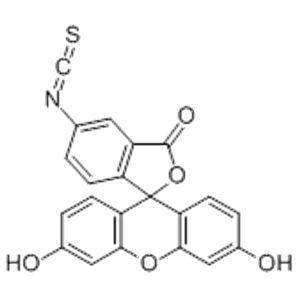 異硫氰酸熒光素