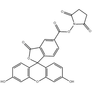 5-羧基熒光素琥珀酰亞胺酯