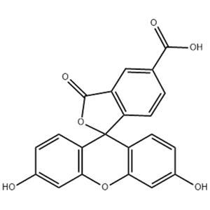 5-羧基熒光素