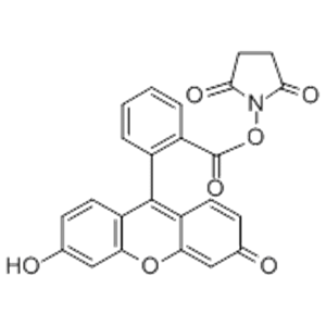 5(6)-羧基熒光素琥珀酰亞胺酯