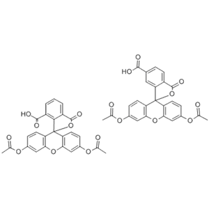 5(6)-羧基熒光素二乙酸酯