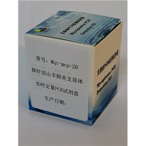 探針?lè)ㄉ窖蚍窝字гw實(shí)時(shí)定量PCR試劑盒