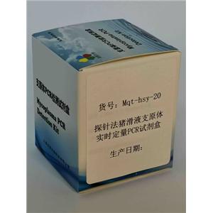 探針法豬滑液支原體實時定量PCR試劑盒