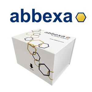 Abbexa