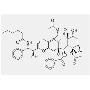 紫杉醇EP雜質(zhì)C3，4-脫氫紫杉醇C