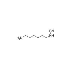 氨基瓊脂糖凝膠4B