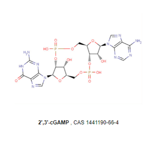 2',3'-cGAMP