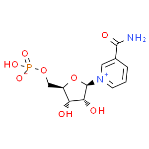 β-煙酰胺單核苷酸；NMN；