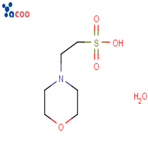 2-(N-嗎啉)乙磺酸一水合物( MES·H2O）