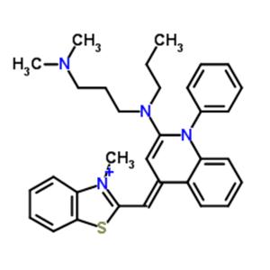 SYBRGREENⅠ核苷酸膠體染料