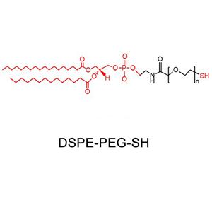 二硬脂酰磷脂酰乙醇胺-聚乙二醇-巰基