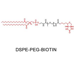 二硬脂?；字Ｒ掖及?聚乙二醇-生物素