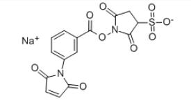 m-馬來(lái)酰亞胺苯甲酸琥珀酰亞胺酯 鈉鹽CAS:92921-25-0 