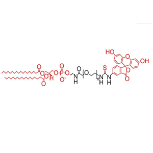 二硬脂?；字Ｒ掖及?聚乙二醇-熒光素