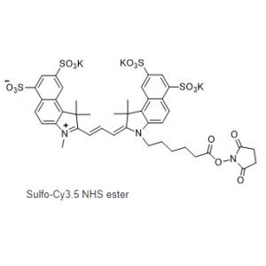 CAS號 :2231670-91-8水溶cy3.5 NHS，Sulfo cy3.5 NHS ester