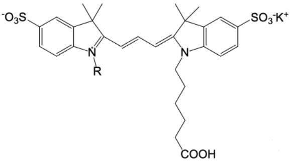Sulfo CY3