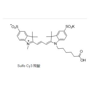 CAS號(hào):1121756-11-3,Sulfo CY3-COOH,磺化cy3羧酸