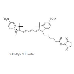 CAS號(hào):2230212-27-6,Sulfo Cy5 NHS ester,磺化Cy5-NHS 活化酯