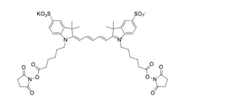 sulfo-Cy5 bis-NHS ester