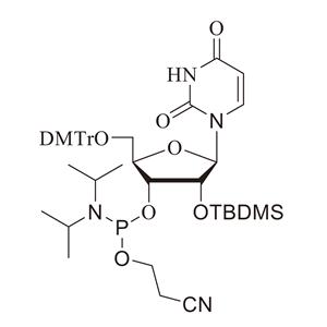 RU-TBDMS亞磷酰胺單體