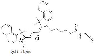 Cy3.5-alkyne,Cy3.5-ALK,Cy3.5-炔烴,Cyanine3.5-ALK,Cyanine3.5-炔烴,