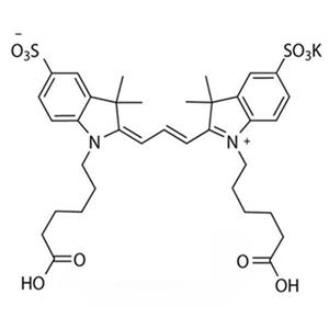 花青素CY3雙酸