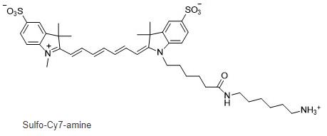 磺化CY7氨基，Sulfo-Cyanine7 amine，cas:2236573-39-8