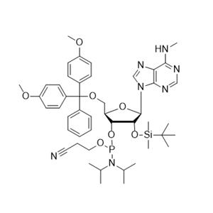 N6-Me-rA 亞磷酰胺單體