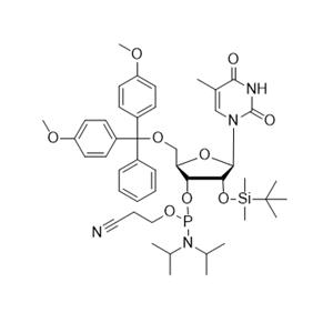 5-Me-rU 亞磷酰胺單體