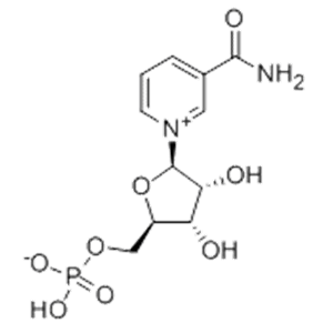 β-煙酰胺單核苷酸